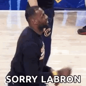 Sorry Lebron Flop GIF