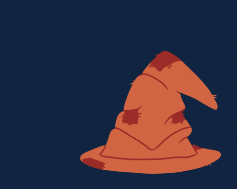 Sorting Hat Selecting GIF