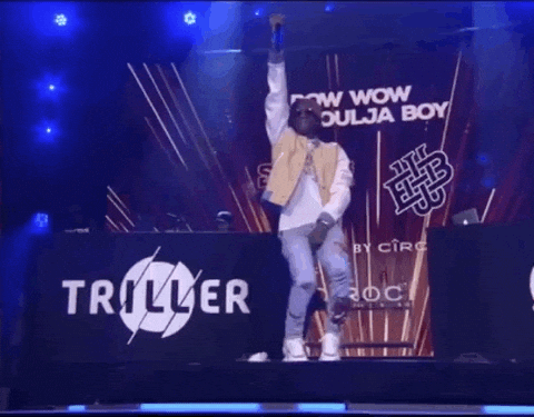 Soulja Boy Performing With Bow Wow GIF