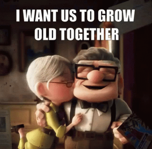 Soulmate Up Movie Carl And Ellie GIF
