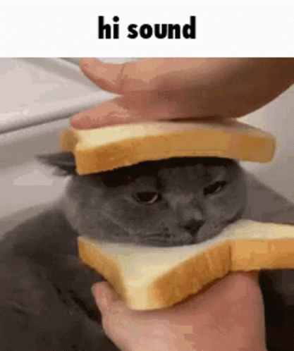 Adorable Cat Squeezed Bread Sound GIF