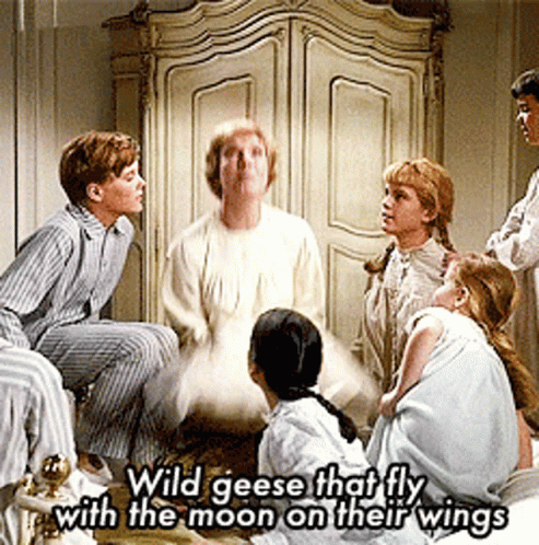 Sound Of Music Julie Andrews And Kids Playing GIF