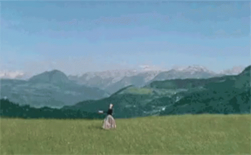 Sound Of Music Airplane Landing GIF