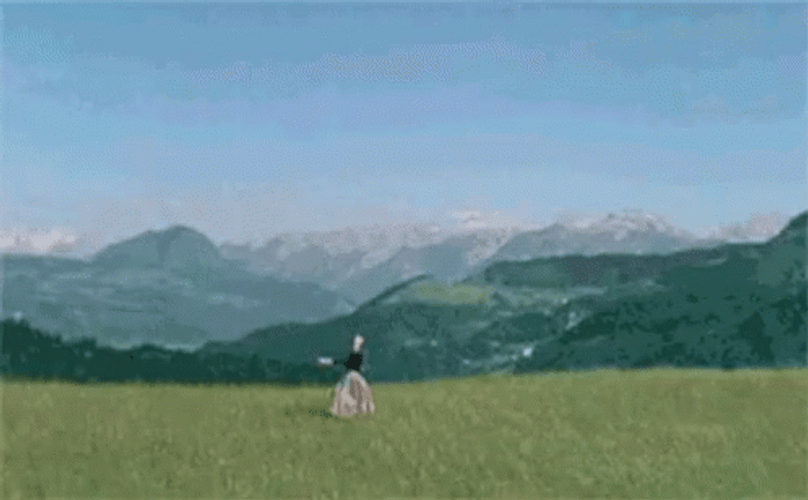 Sound Of Music Airplane Landing GIF