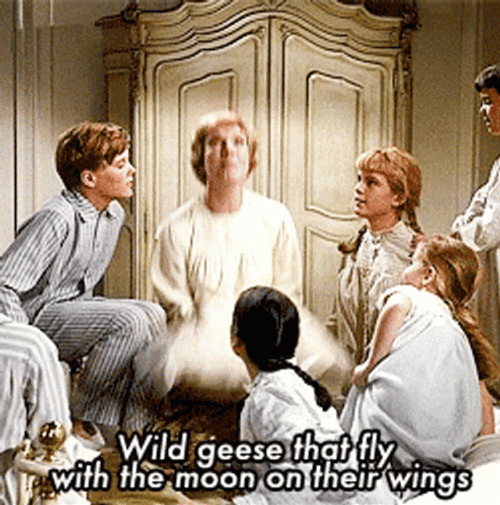 Sound Of Music Julie Andrews And Kids Playing GIF