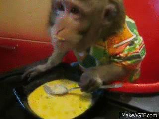 Soup Lover Monkey GIF
