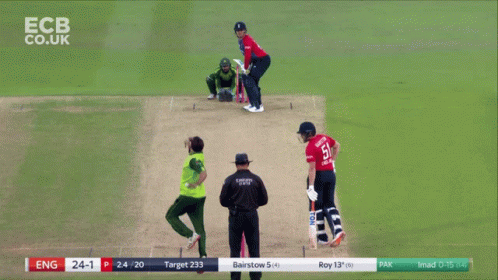South African Cricketer Jason Roy GIF