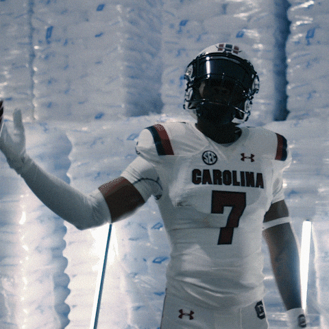 South Carolina Gamecocks Come On GIF