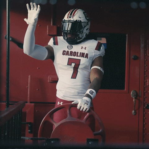 South Carolina Gamecocks Game On GIF