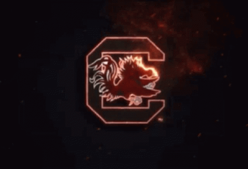 South Carolina Gamecocks Logo GIF