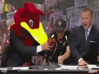 South Carolina Gamecocks Mascot GIF