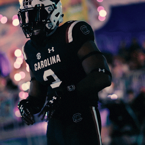 South Carolina Gamecocks Vibing On GIF