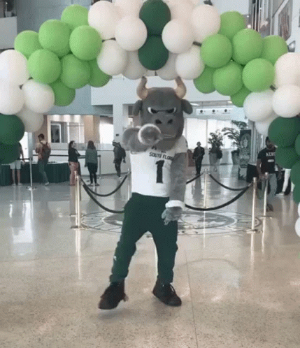 South Florida Bull Mascot With Green and White Balloons