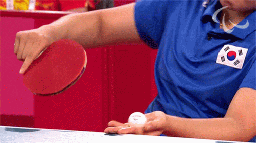 South Korean Table Tennis Player GIF