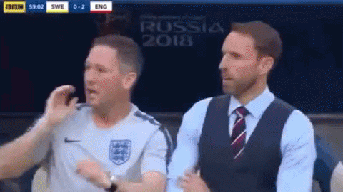 Southgate Full Of Happiness Reaction GIF