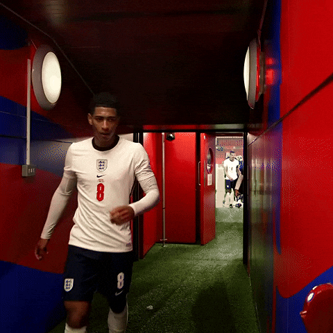 Southgate Giving Hands With Jude Bellingham GIF