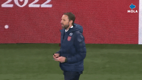 Southgate Looks Very Happy GIF