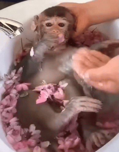 Spa Money Relaxation Bath GIF