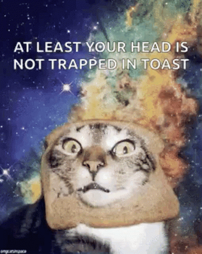 Space Cat So No Head GIF