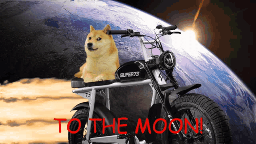 Space Dog Earth To Moon GIF