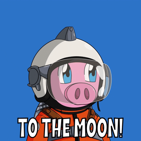Space Pig Flies To The Moon GIF