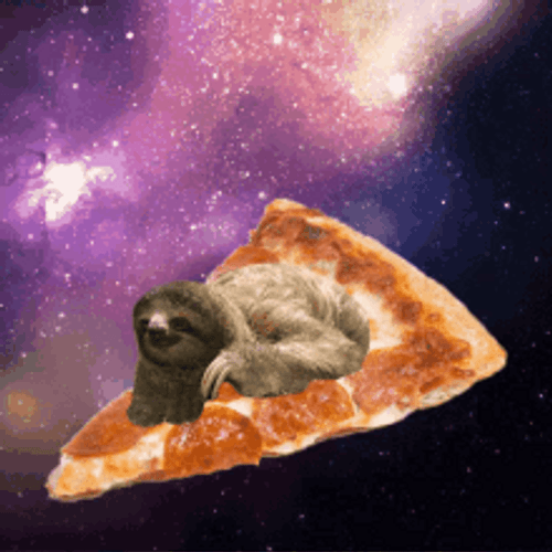 Space Pizza Sloth Purple Galaxy GIF