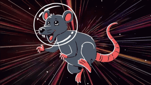 Space Rat Galaxy Meme GIF