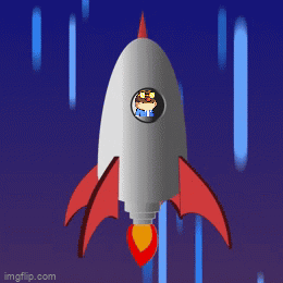 Space Shuttle Launching With Number 0 GIF