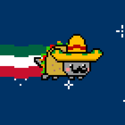 Space Taco Poptart Cat GIF