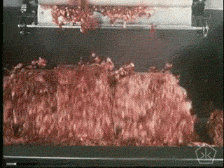 Spam 320 X 240 Gif GIF
