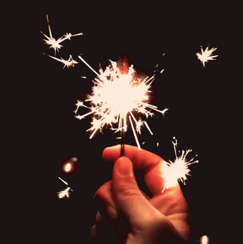 Sparkle Firecracker Holding GIF