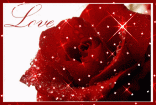 Sparkles Rose With Shimmering Love Background GIF