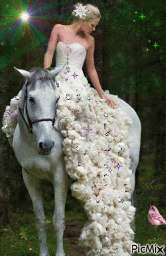 Sparkling Bride On Horse GIF