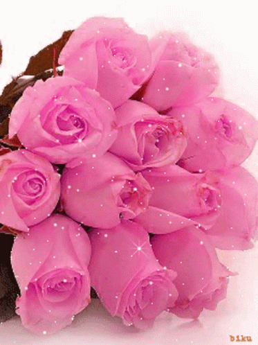 Sparkling Pink Rosas GIF