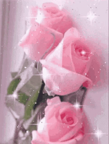 Sparkling Pink Roses GIF