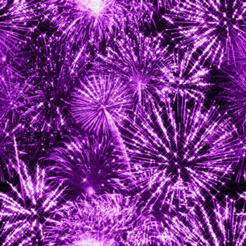 Sparkling Purple Fireworks GIF