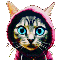 Spazcat Spazycat Sticker GIF