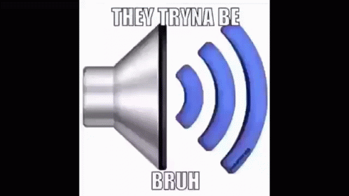 Speaker Meme They Tryna Be Bruh GIF