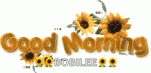 Special Good Morning Sun Flower GIF