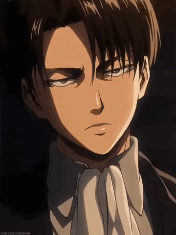 Special Operations Squad Captain Levi Ackerman GIF