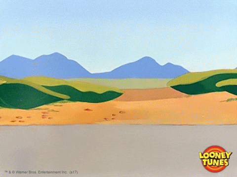 Sped Up Chase Roadrunner Looney Tunes GIF