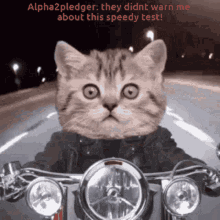 Speed Test Scared Cat Motorbike Night Ride GIF