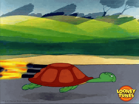 Speeding Flying Turtle Looney Tunes GIF