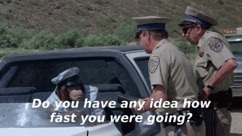 Speeding Ticket Monkey With Policemen GIF
