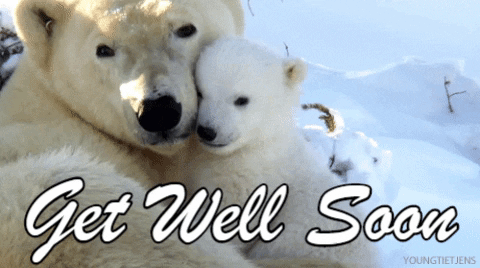 Speedy Recovery Get Well Soon Polar Bear GIF