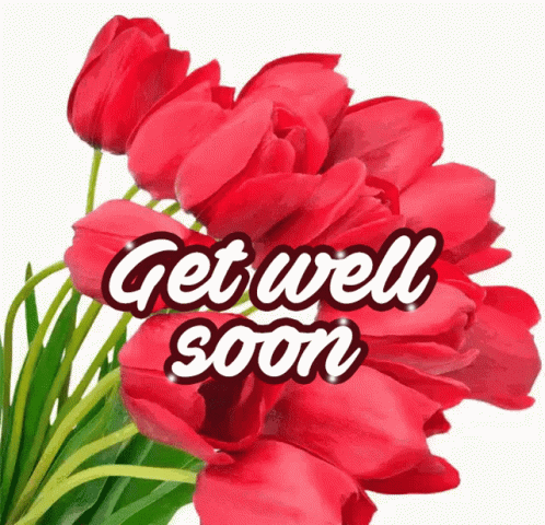 Speedy Recovery Get Well Soon Red Tulips GIF