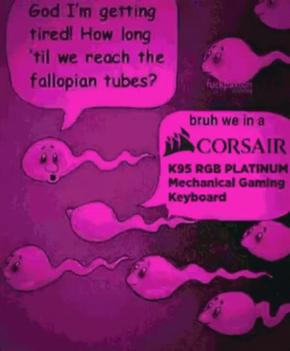 Sperm Talking About Corsair Keyboards GIF