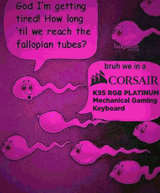 Sperm Talking About Corsair Keyboards