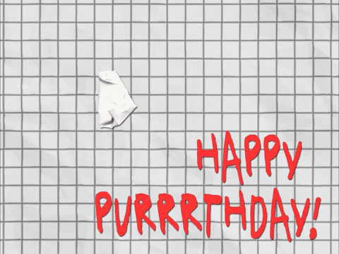 Sphynx Cat Funny Happy Birthday Meme GIF | GIFDB.com