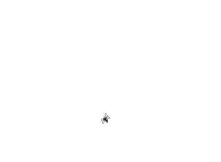 Spider Flying in Air